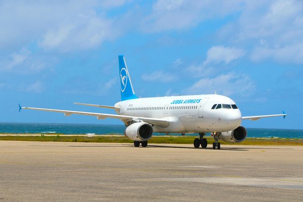 Nature évasion : découvrez les campings dynamiques qui changent tout